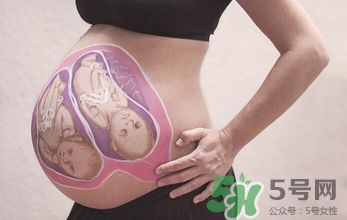 妊娠線看可以看胎兒性別嗎？妊娠線看可以男女嗎？