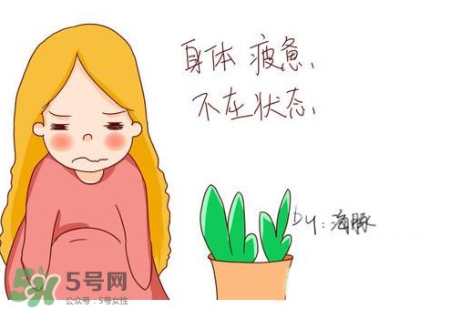 為什么身體總是覺得累？總是覺得累是怎么回事