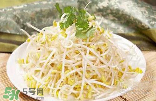 黃豆芽熱量高嗎？吃黃豆芽會長胖嗎？