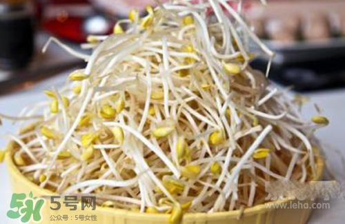 黃豆芽熱量高嗎？吃黃豆芽會長胖嗎？