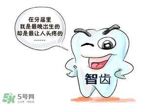 長智齒好嗎？長智齒好不好