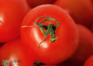 五月份吃什么蔬菜？5月份吃什么蔬菜？