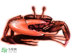 五月份可以吃螃蟹嗎？5月份可以吃螃蟹嗎？
