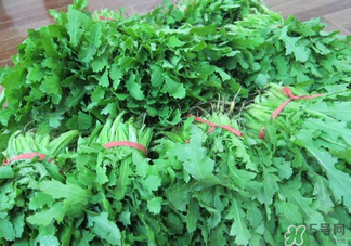 罌粟苗能當(dāng)菜吃嗎？罌粟苗可以當(dāng)菜吃嗎？