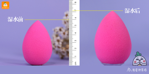 beauty blender美妝蛋和rt美妝蛋哪個好？