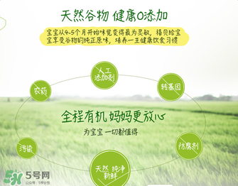 禧貝米粉二段味道怎么樣？禧貝米粉二段味道如何？