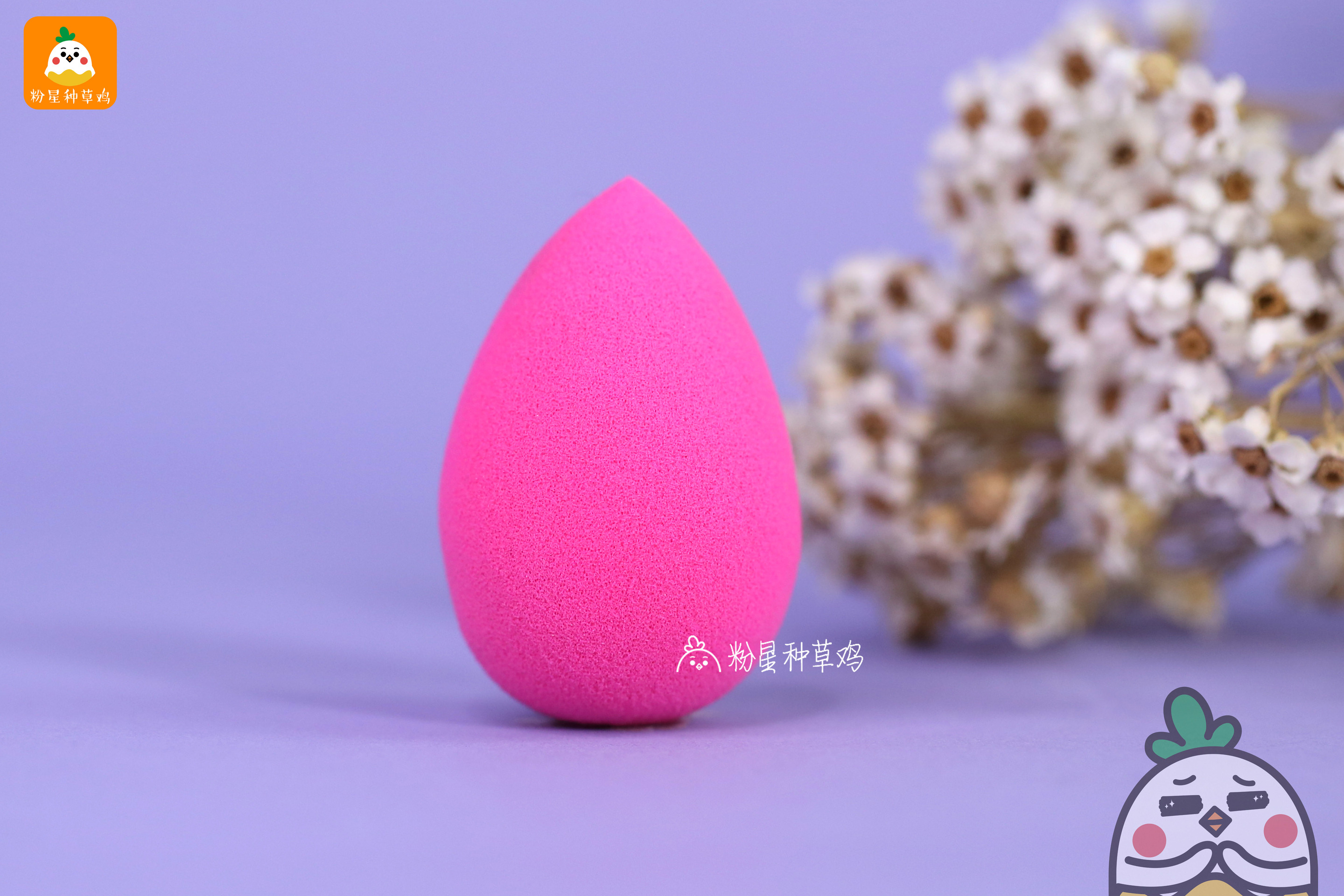 beauty blender美妝蛋和rt美妝蛋哪個好？