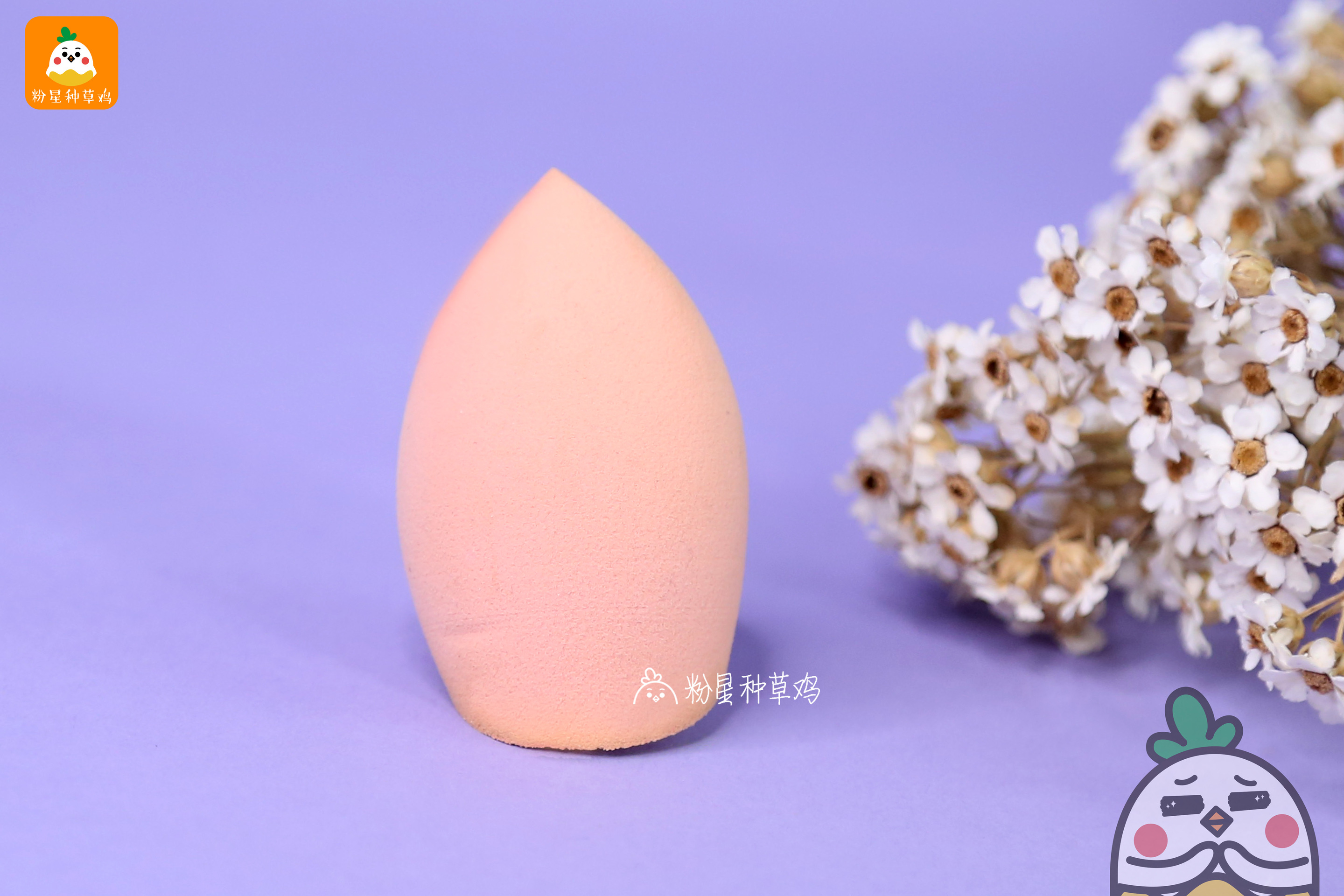beauty blender美妝蛋和rt美妝蛋哪個好？