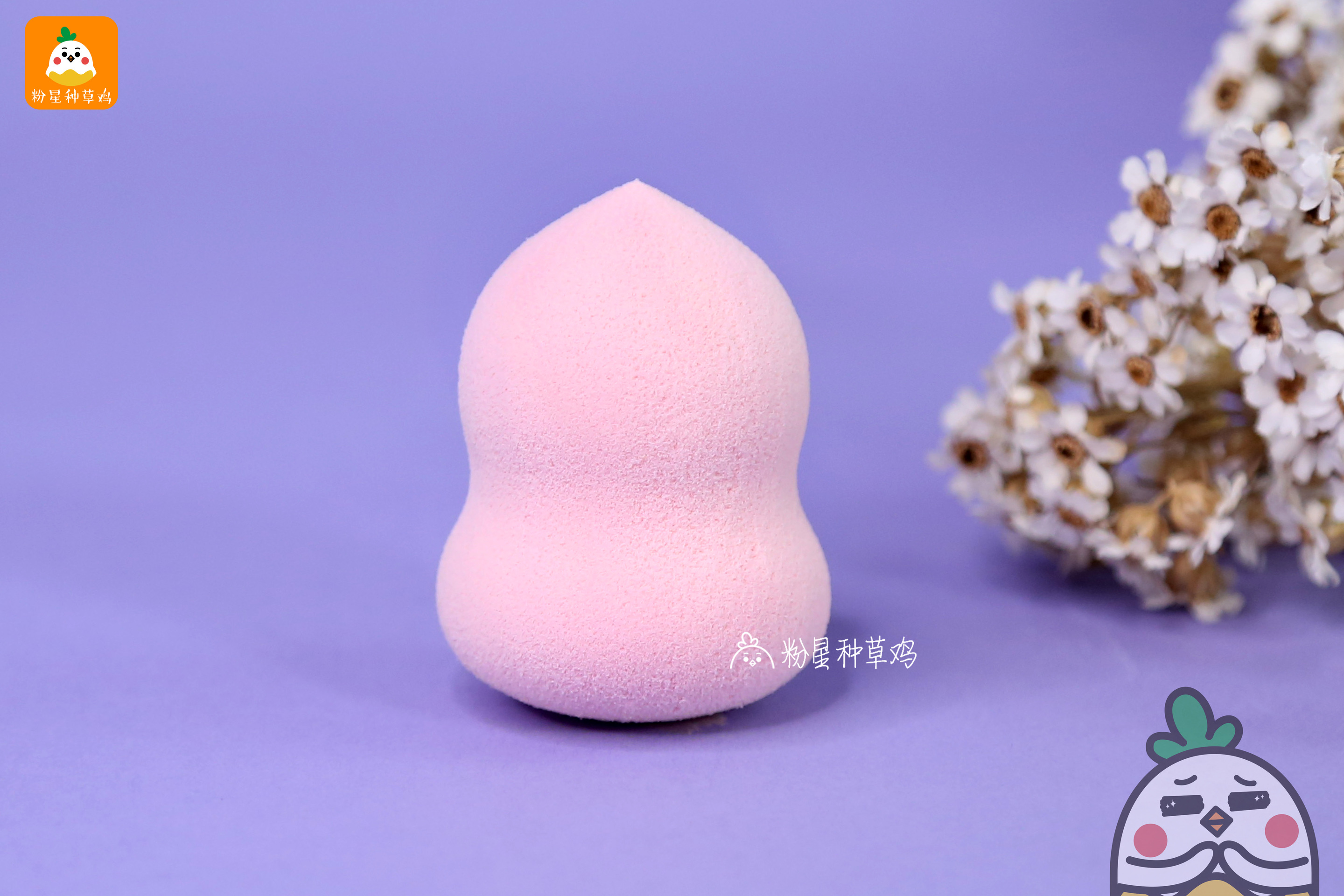 beauty blender美妝蛋和rt美妝蛋哪個好？