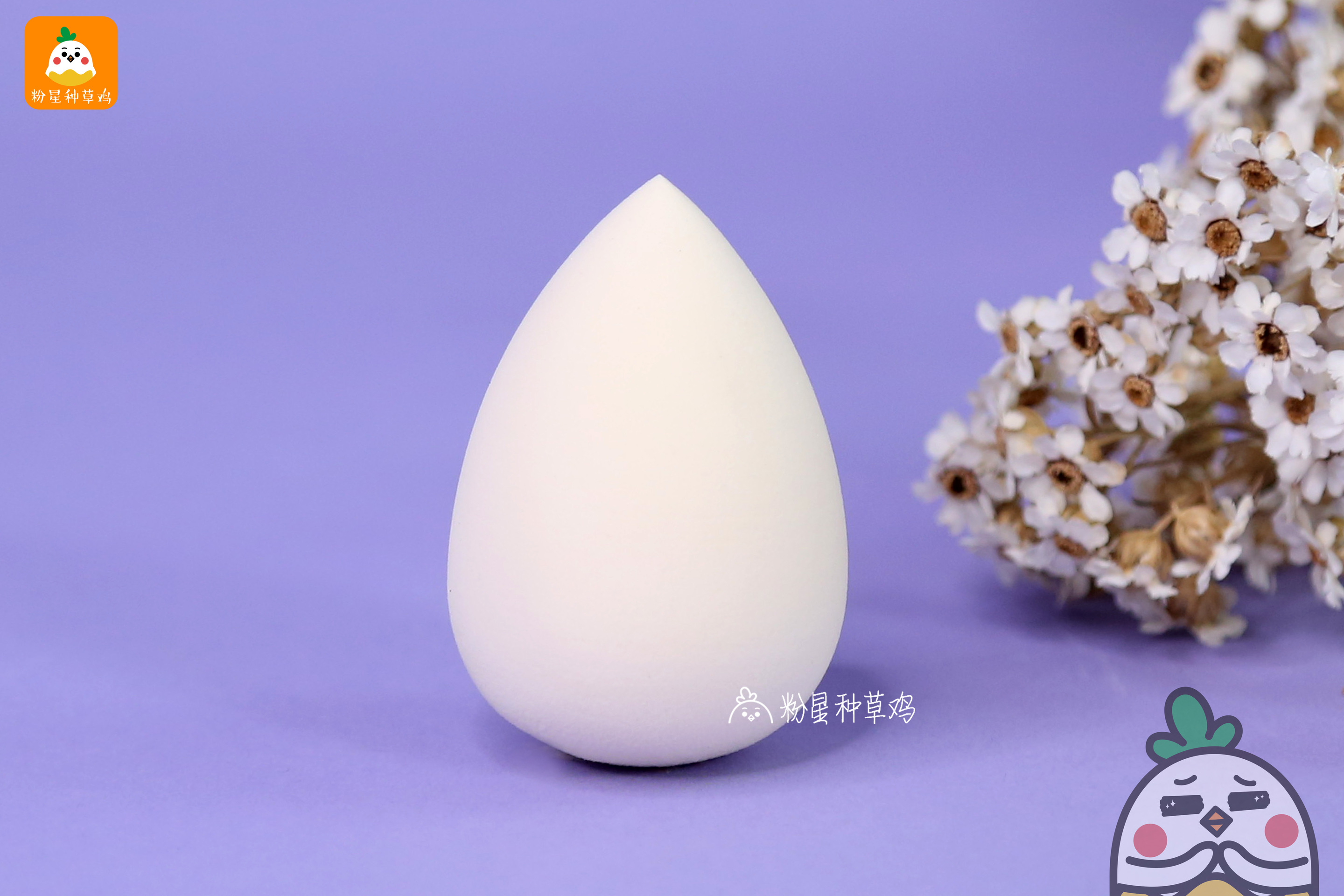 beauty blender美妝蛋和rt美妝蛋哪個好？