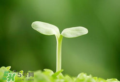 甲醛檢測(cè)儀哪個(gè)牌子好？哪個(gè)牌子的甲醛檢測(cè)儀好？