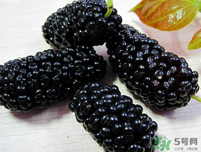 吃桑葚會(huì)拉黑便嗎？吃桑葚大便黑色怎么回事？