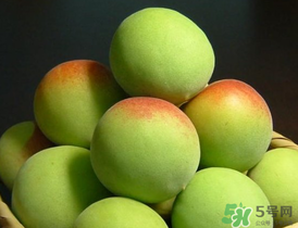 青梅什么時候成熟？青梅幾月份成熟？