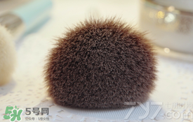 受受狼是哪個國家的？受受狼化妝刷推薦