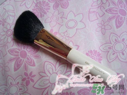 bloomy老爺家化妝刷哪款好？bloomy化妝刷推薦