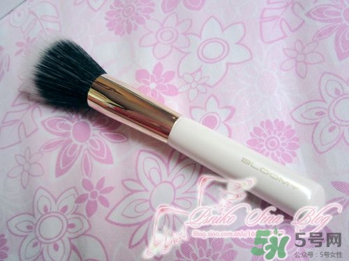 bloomy老爺家化妝刷哪款好？bloomy化妝刷推薦