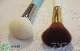 受受狼是哪個國家的？受受狼化妝刷推薦