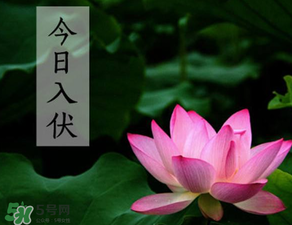 2017年頭伏是哪一天？2017年什么時候入伏？