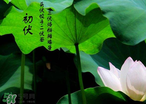 2017年頭伏是哪一天？2017年什么時候入伏？