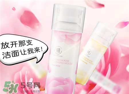 亞緹克蘭玫瑰花潔面慕斯多少錢(qián)_價(jià)格