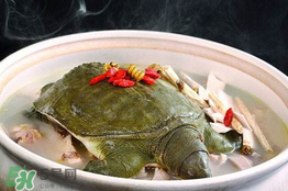 懷孕初期能吃甲魚嗎？懷孕初期可以吃甲魚嗎？