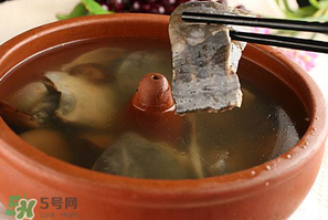 懷孕初期能吃甲魚嗎？懷孕初期可以吃甲魚嗎？