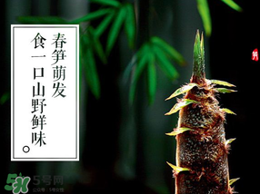 春筍多少錢(qián)一斤？春筍多少錢(qián)一斤2017？