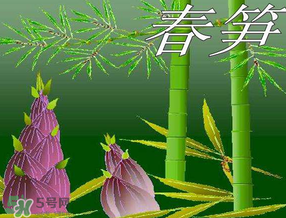 春筍多少錢(qián)一斤？春筍多少錢(qián)一斤2017？