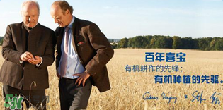 喜寶米粉怎么樣？喜寶米粉如何？