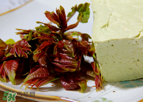 香椿為什么會(huì)苦？香椿苦味怎么回事？