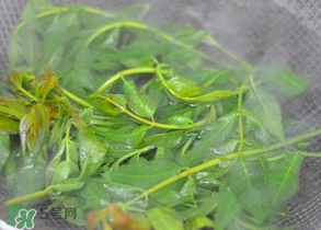 香椿為什么要焯水？香椿怎么焯水？