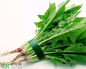 孕婦可以吃菠菜嗎？孕婦菠菜吃多了會怎樣？