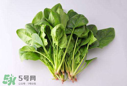 孕婦可以吃菠菜嗎？孕婦菠菜吃多了會怎樣？