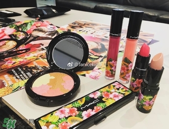mac2017夏季fruity juicy系列有哪些？