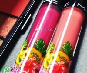 mac2017夏季fruity juicy系列有哪些？