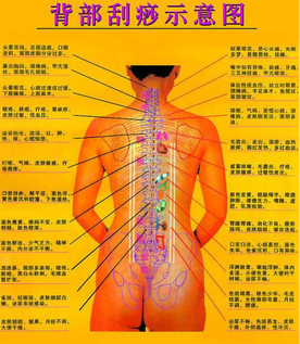 背部怎么刮痧視頻？背部刮痧手法視頻