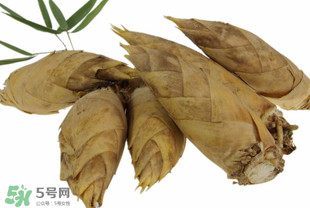 竹筍什么時(shí)候長出來？竹筍幾月份長出來？