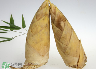 竹筍什么時(shí)候長出來？竹筍幾月份長出來？