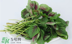 孕婦能吃莧菜嗎？孕婦可以吃莧菜嗎？