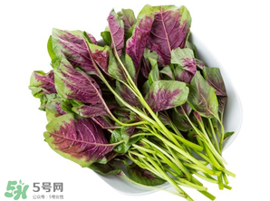 孕婦能吃莧菜嗎？孕婦可以吃莧菜嗎？