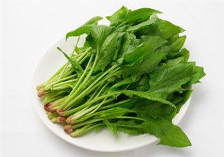 孕婦可以吃菠菜嗎？孕婦菠菜吃多了會(huì)怎樣？