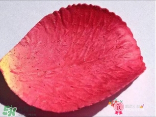 拉杜麗花瓣腮紅多少錢(qián) 拉杜麗花瓣腮紅專(zhuān)柜價(jià)格