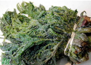 香椿腌制多久可以吃？香椿腌多長時(shí)間能吃？