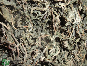 香椿可以曬干嗎？香椿怎么曬干？