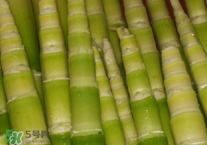 竹筍不焯水有毒嗎？竹筍不過水能吃嗎？