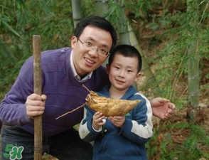 竹筍什么時候挖？竹筍幾月挖？