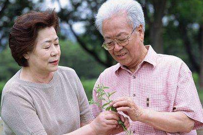 高血脂能不能吃雞蛋？血脂高可以吃雞蛋嗎