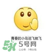 一葉子和百雀羚哪個(gè)好？一葉子和百雀羚面膜對(duì)比