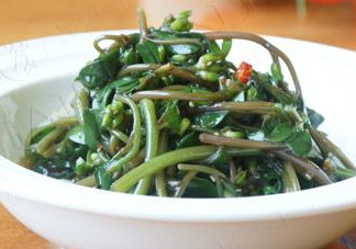 馬莧菜怎么吃？馬莧菜怎么做好吃