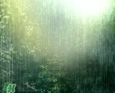 四月份會(huì)一直下雨嗎？2017年四月份為什么一直下雨？